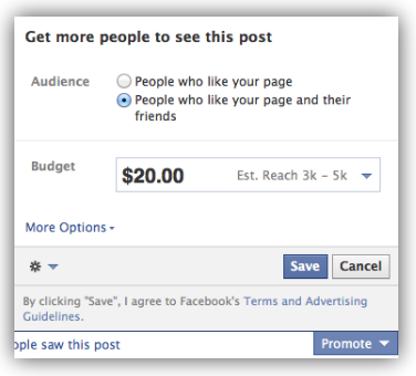 facebook promoted posts how to promote facebook posts